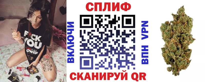 где купить наркоту  Алупка  Каннабис план 